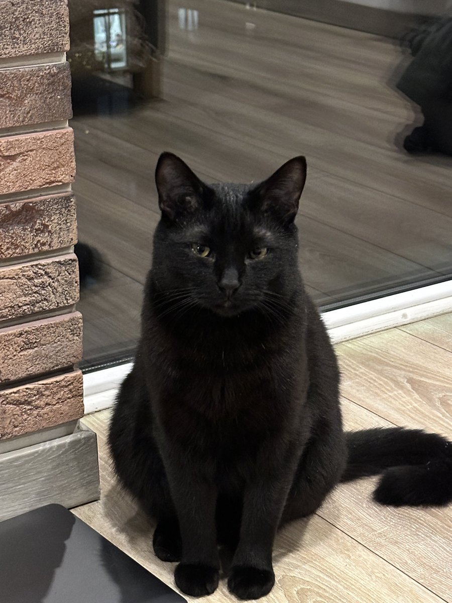 Тамара Мітельмідзе tweet media