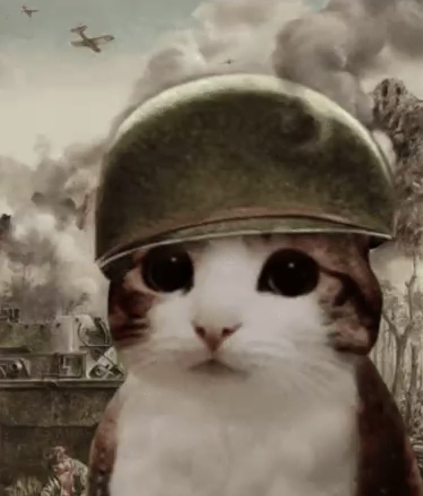 abo nasr💙⭐️⭐️ tweet media