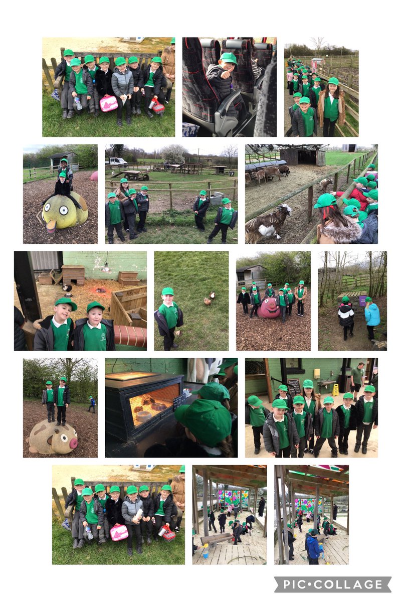 CaldiY1's tweet photo. Year 1 thoroughly enjoyed their trip to the farm where they applied their science learning all about animals 🐖 🐑 🫏 @LiftSchools @CaldiPrimary @vianclark @nigel_whittle @MbroCouncil @centre_right_ https://t.co/EOIrWSMmwx