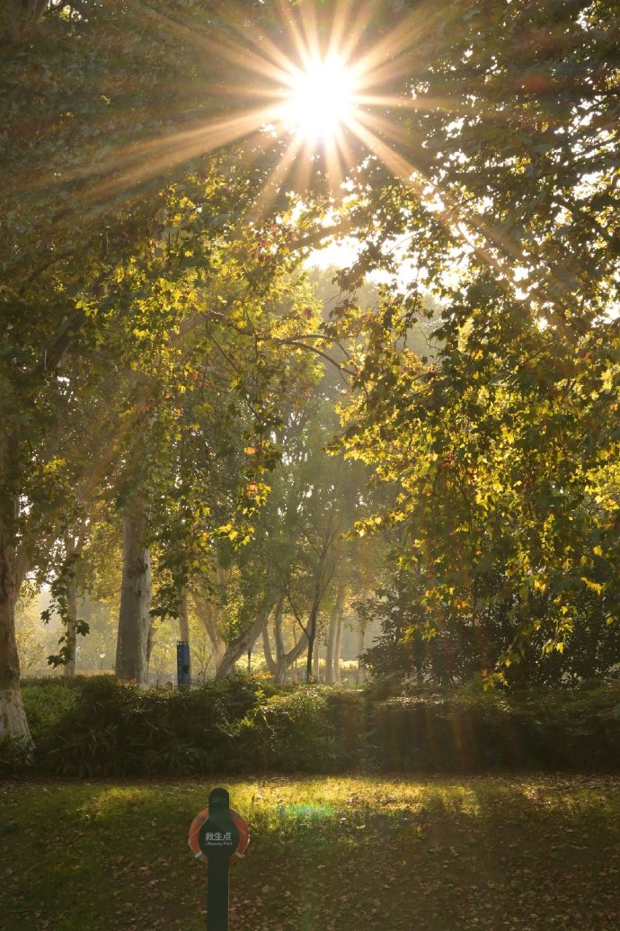 Sarah Merrill tweet media