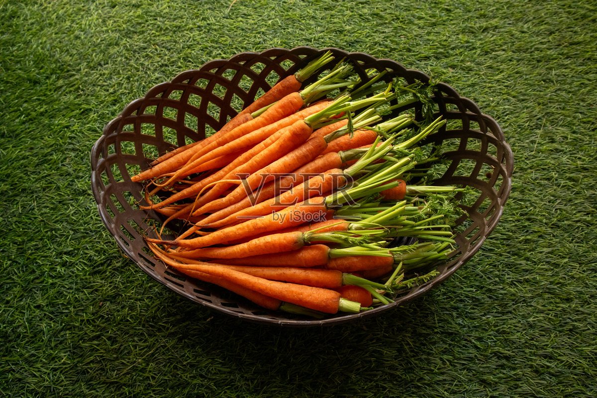 Евгения Щетникова tweet media