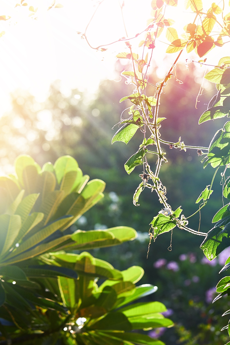 darwin salazar tweet media