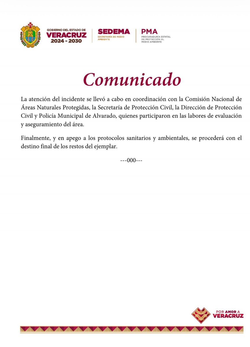 Gobierno de Veracruz tweet media