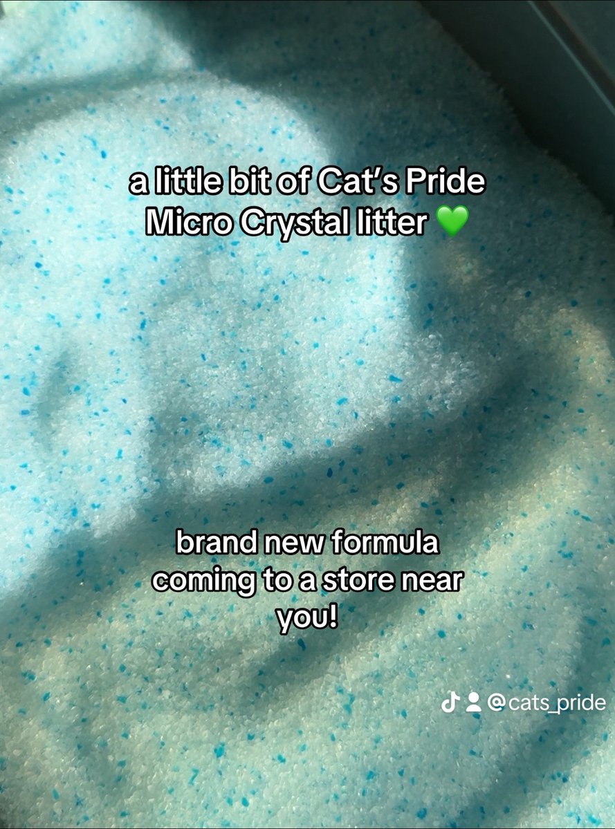 Cat's Pride tweet media