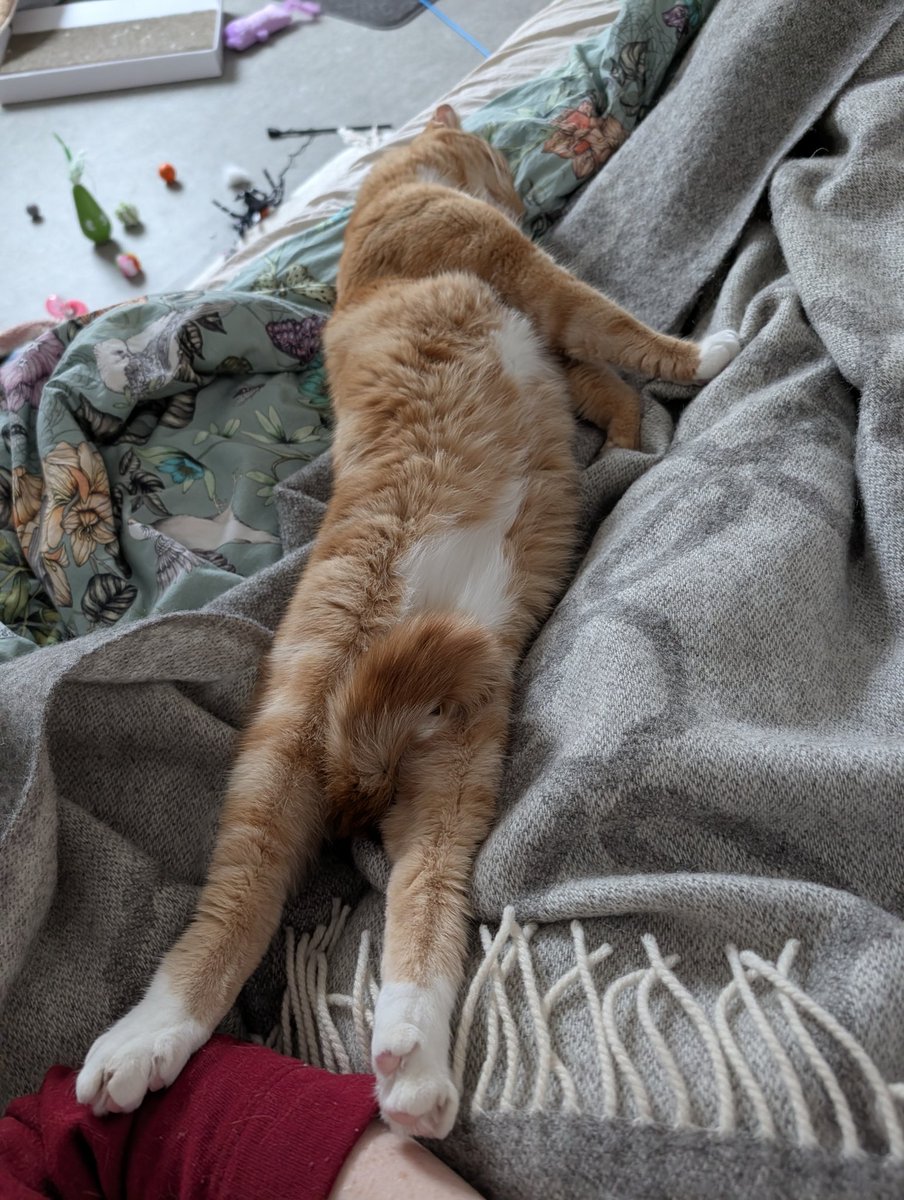 fay 🐢 tweet media