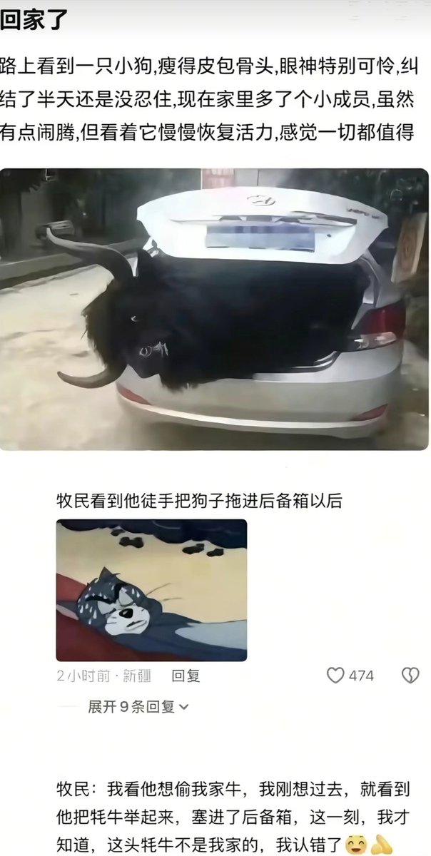 简律（私信互关） tweet media