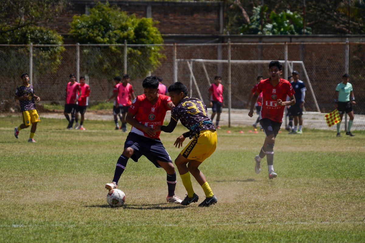 Liga TDP tweet media