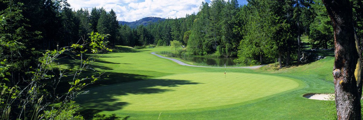 Victoria Residential Builders Association tweet media