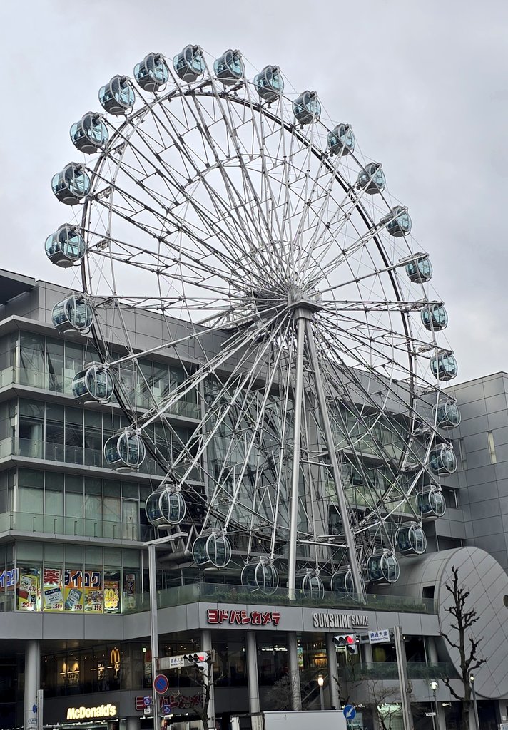 坂本真凛生誕祭実行委員会2026 tweet media