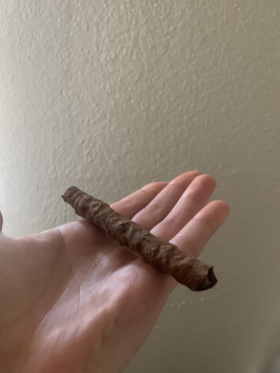 d@kota ( 🐇edtwt ) tweet media