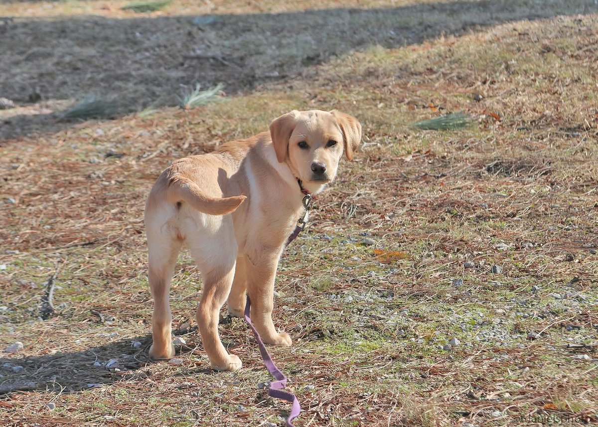 Terry Hlywka tweet media