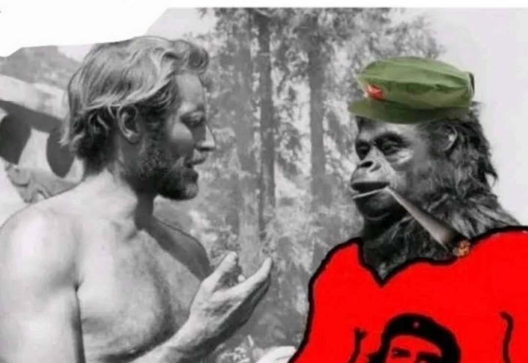 POLITICIDA tweet media