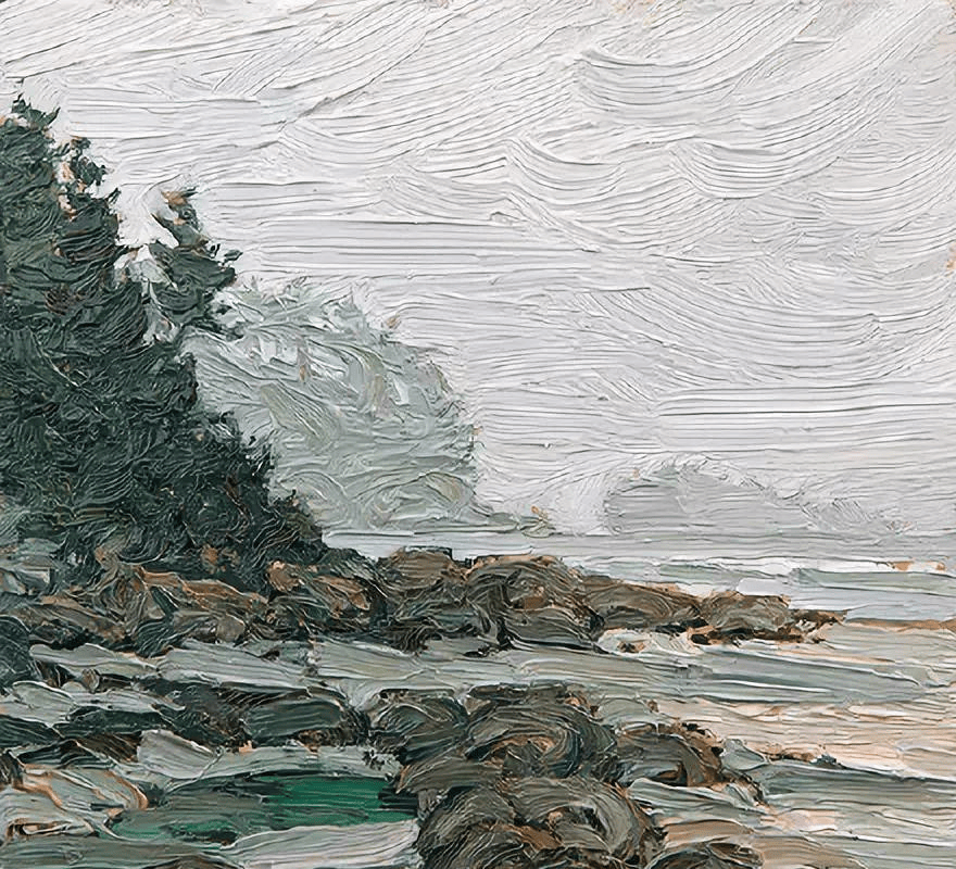 zia osman tweet media