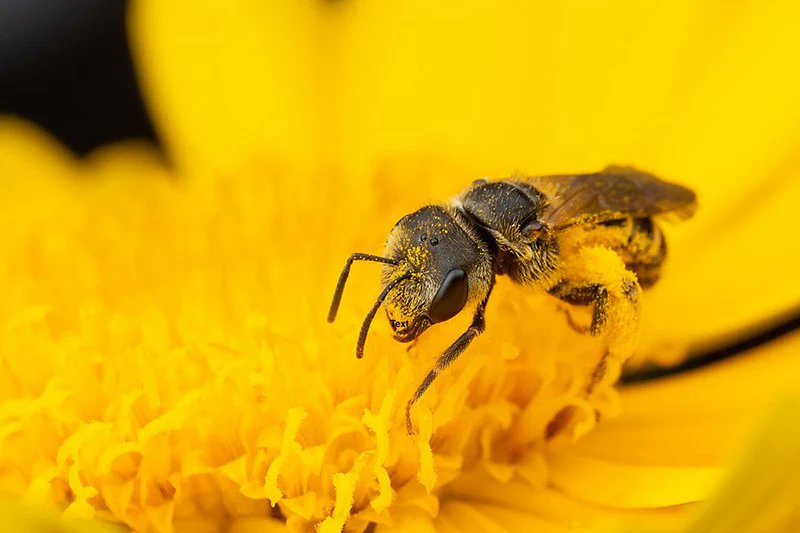 Give A Shit About Nature tweet media