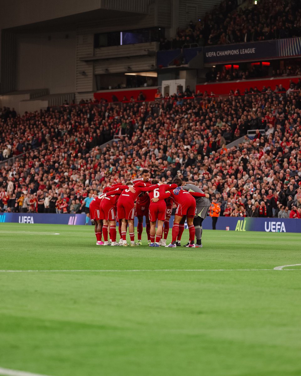 みる天使（いお） tweet media