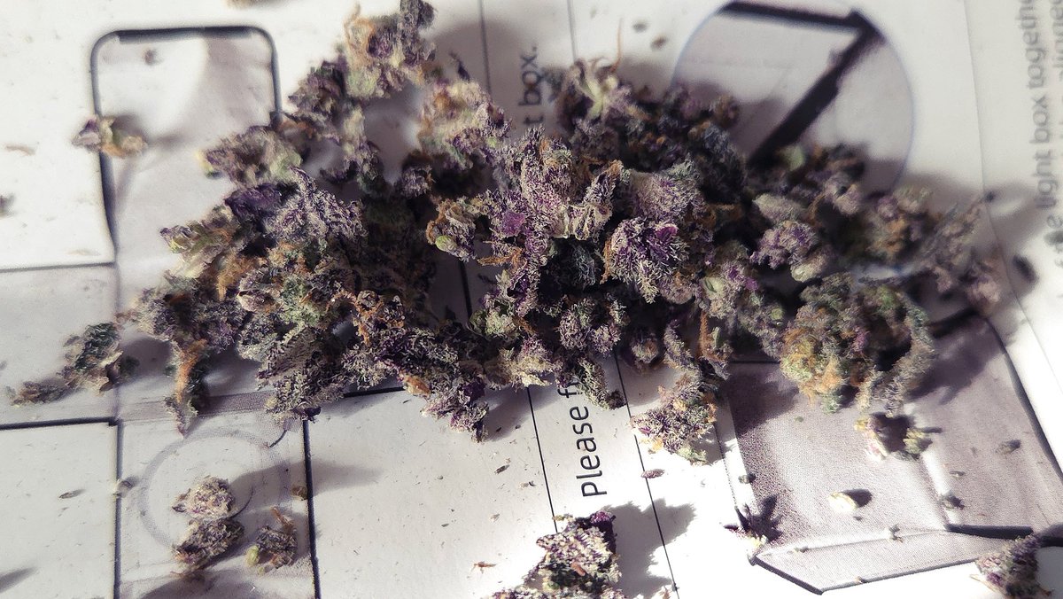 Elveedro🎖🔊🌴 tweet media