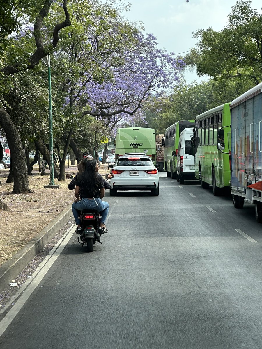 REPORTINQUIETO 🇲🇽💫 tweet media