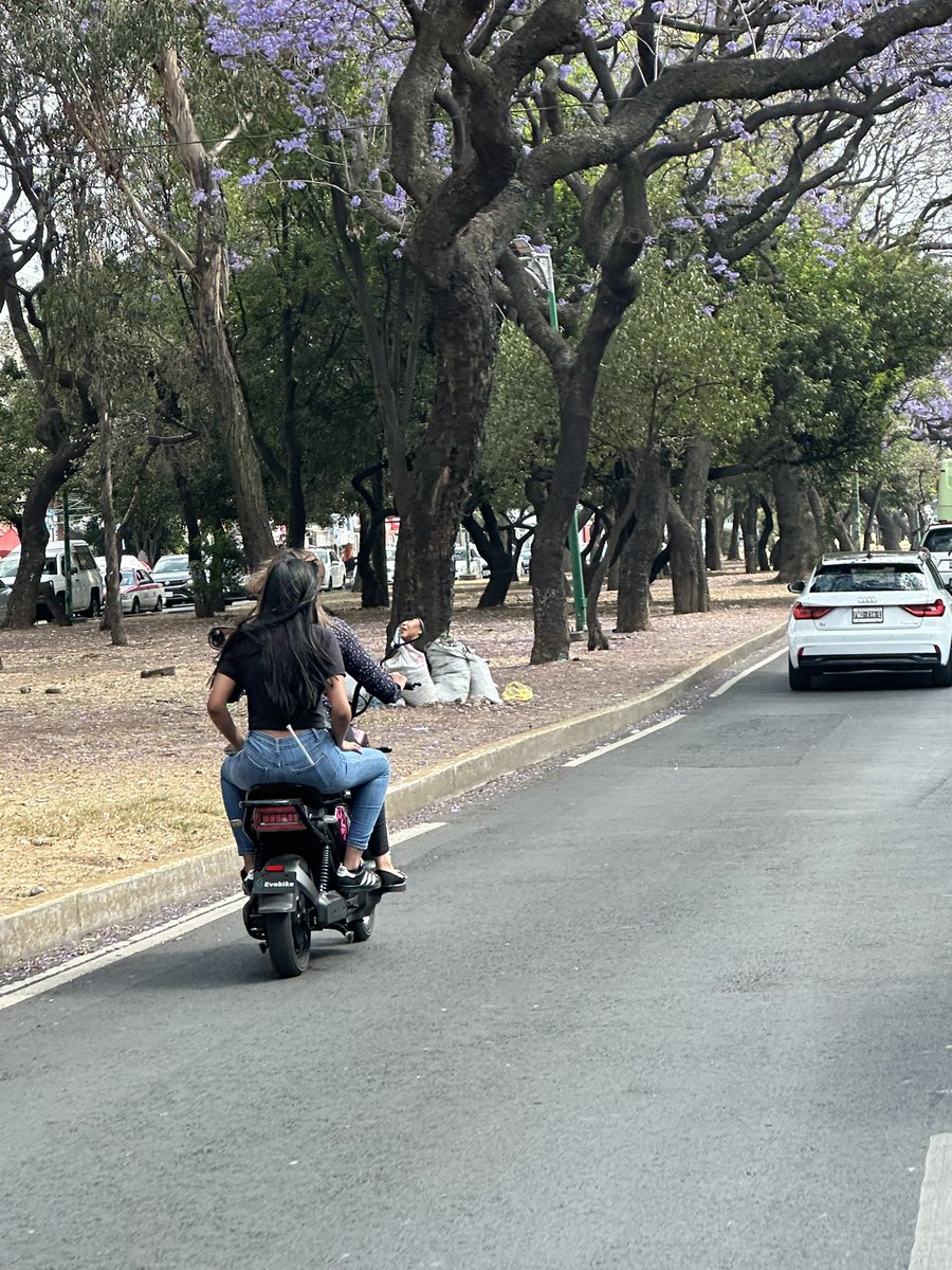 REPORTINQUIETO 🇲🇽💫 tweet media