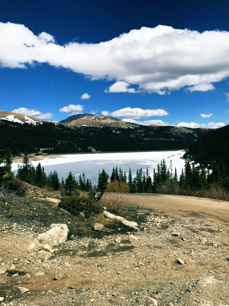 Court ✨ tweet media