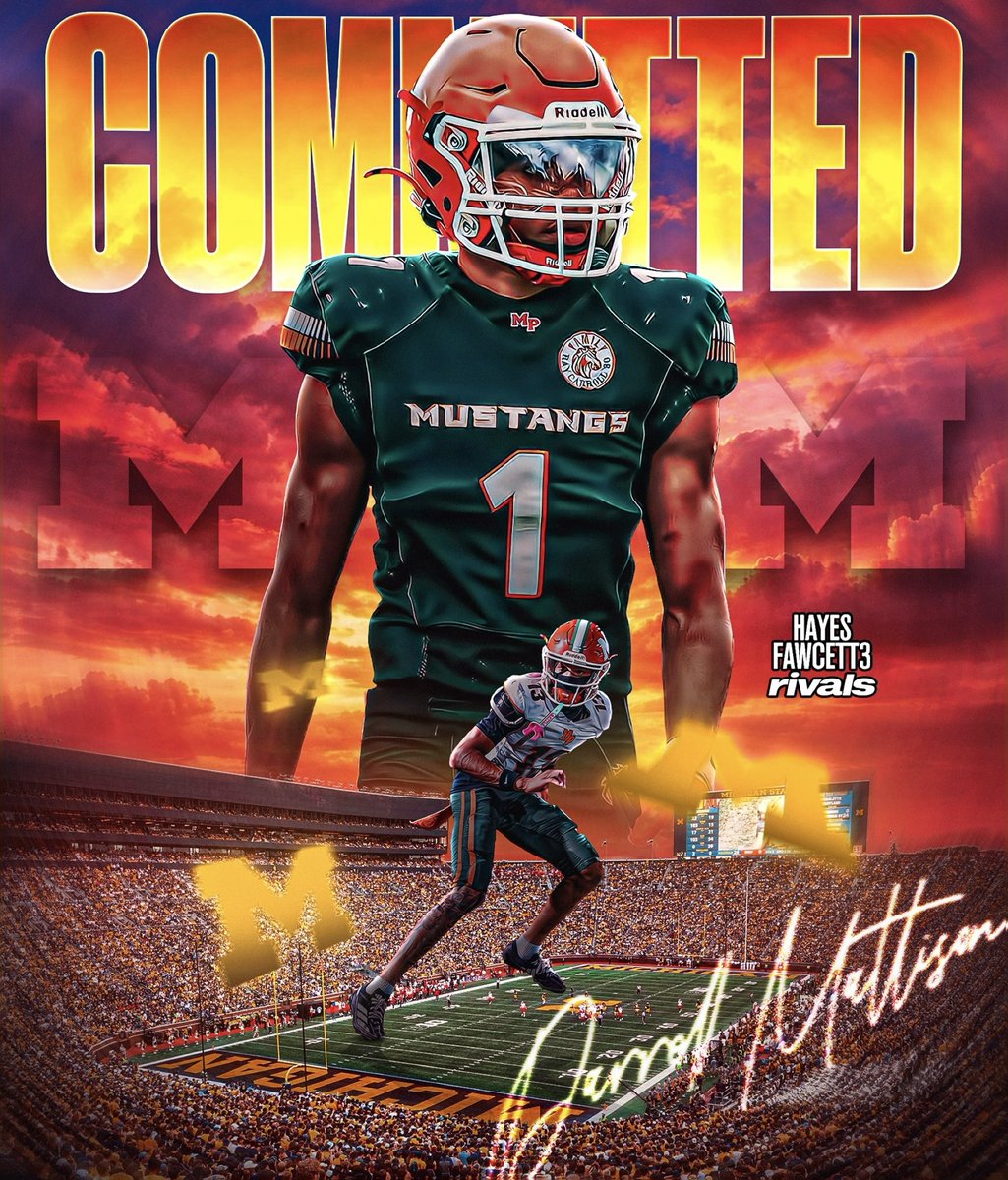 Hayes Fawcett tweet media