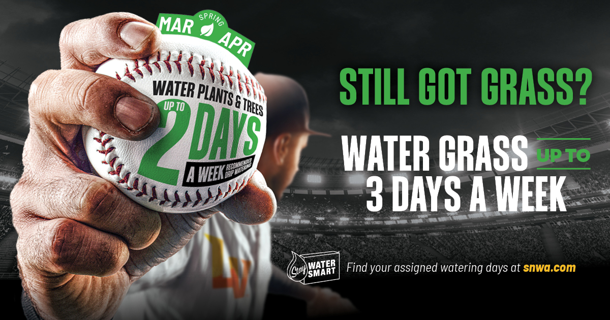 Las Vegas Aviators tweet media