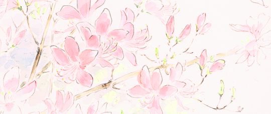 Daisy 🎀☁️ tweet media