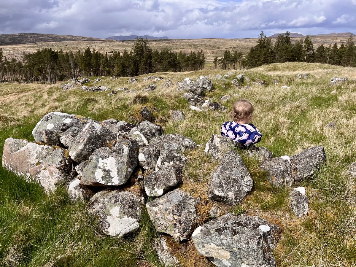 Magnus Davidson tweet media