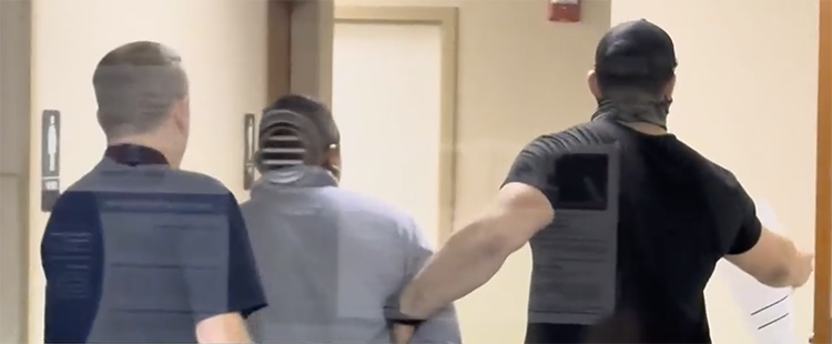 Knoxville Daily Sun tweet media