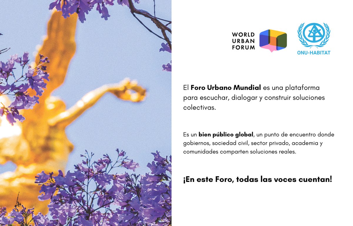 ONU-HABITAT México tweet media