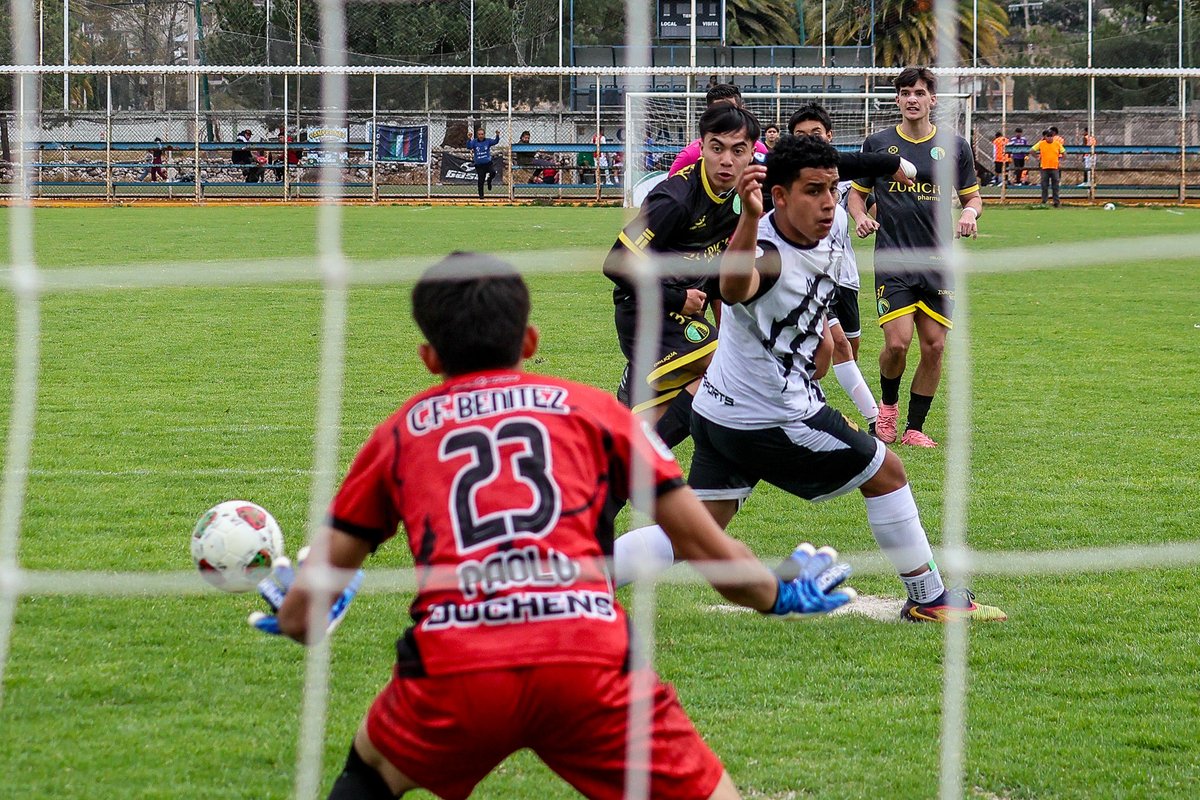 Liga TDP tweet media