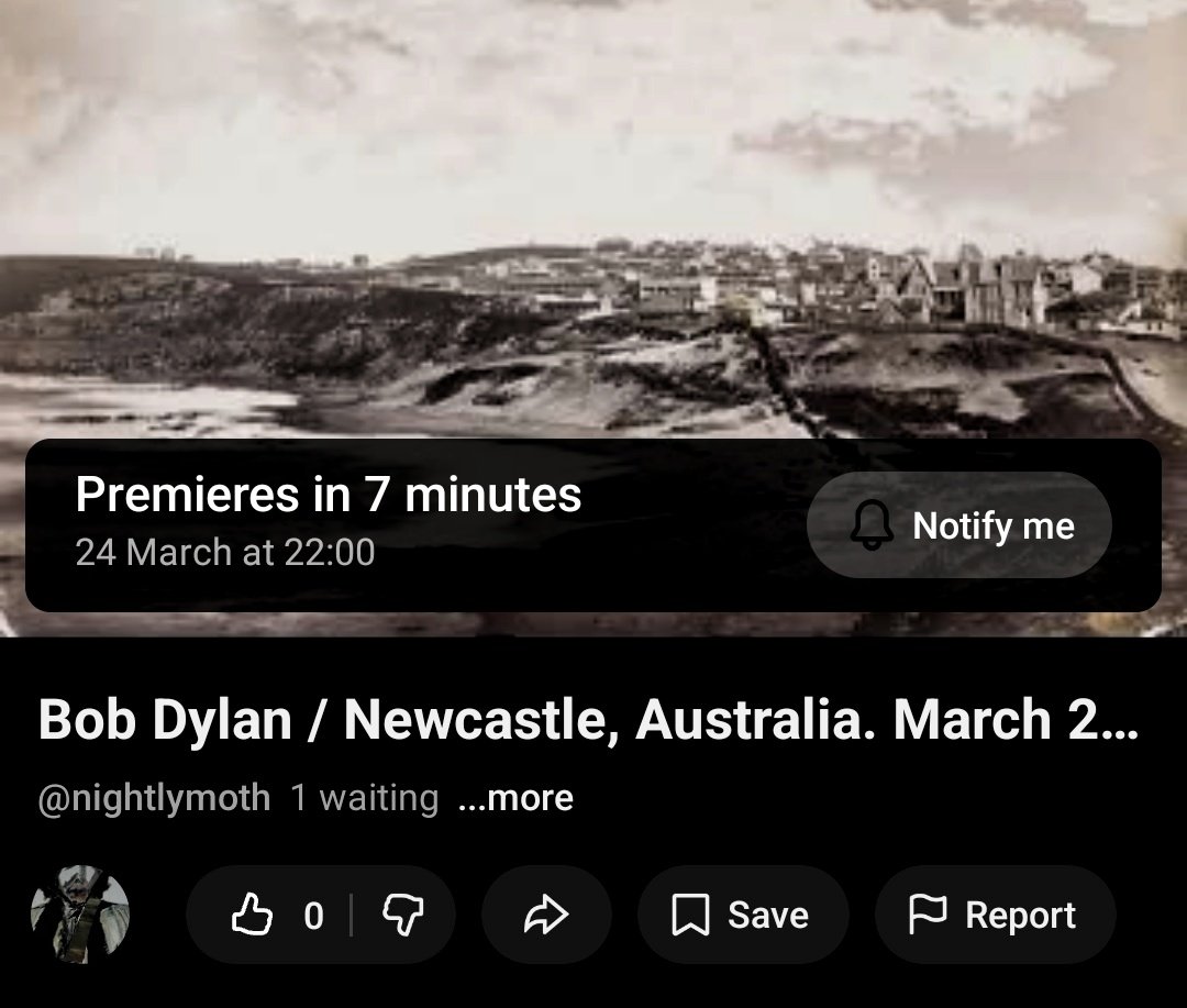 nightly moth tweet media