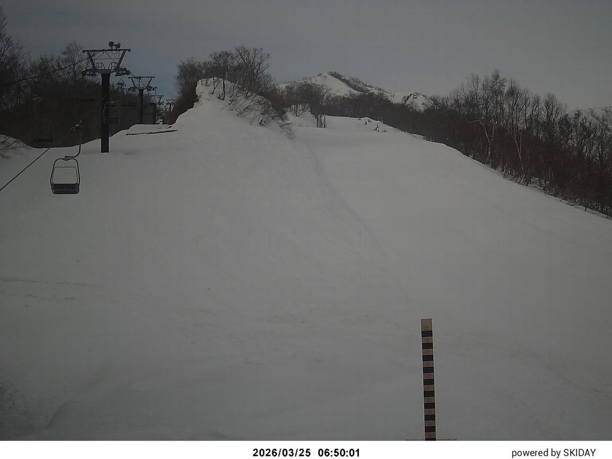 Hakuba47【Official】 tweet media