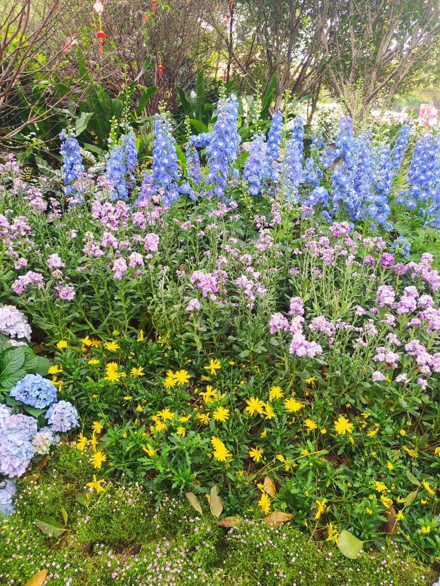 benzerga oussama tweet media