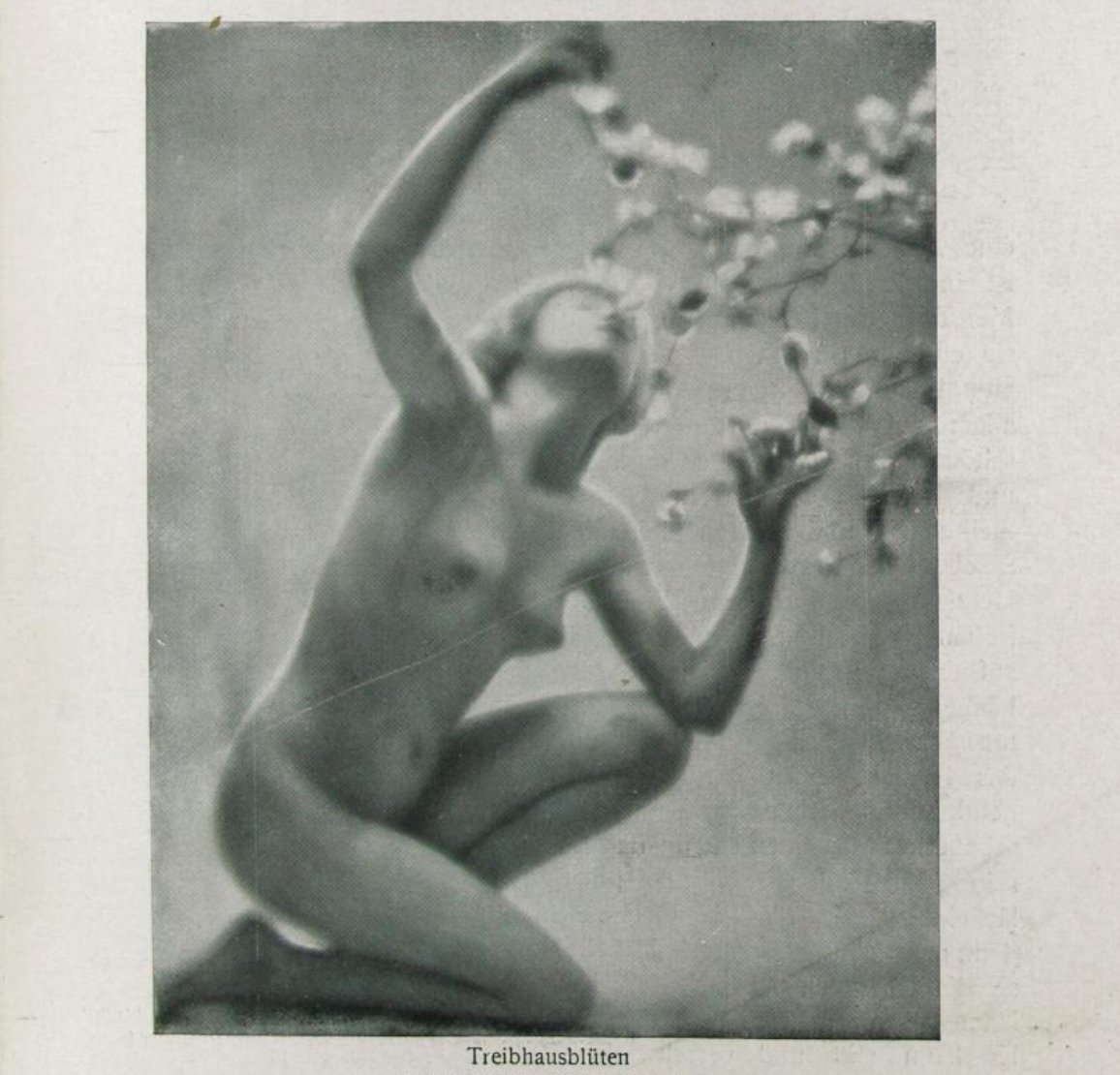 PanAm ꓘK tweet media