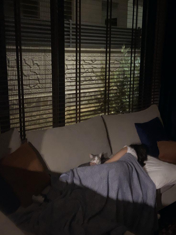 𝐓𝐢𝐚𝐧. tweet media