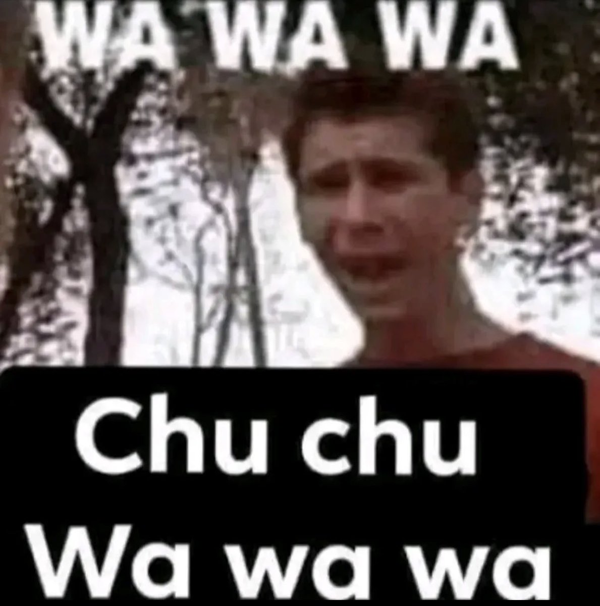 Matheus 🐉 tweet media