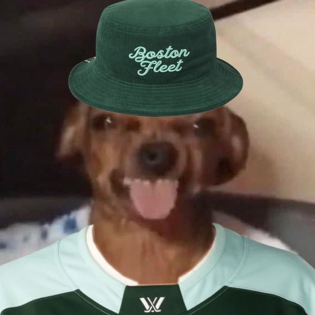 angie 🌙 tweet media