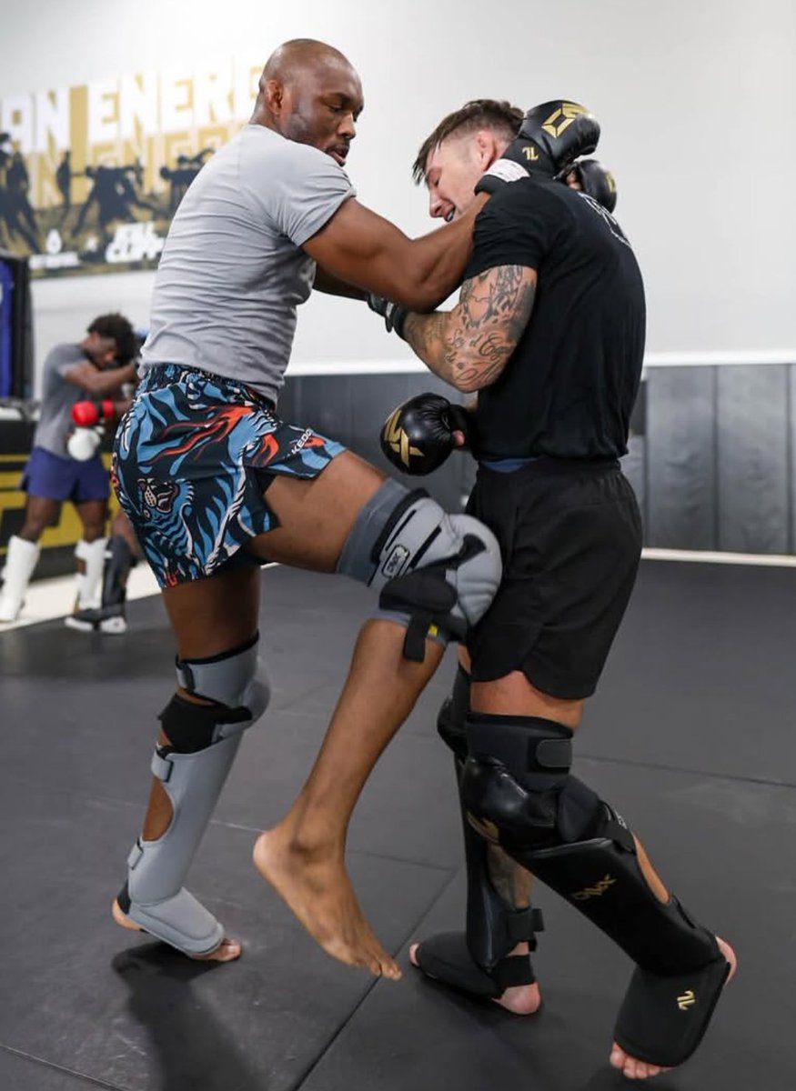 MMA Latinoamérica tweet media