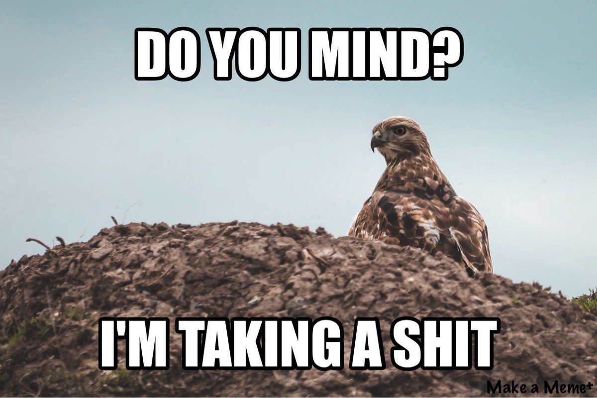 The Goat Path tweet media