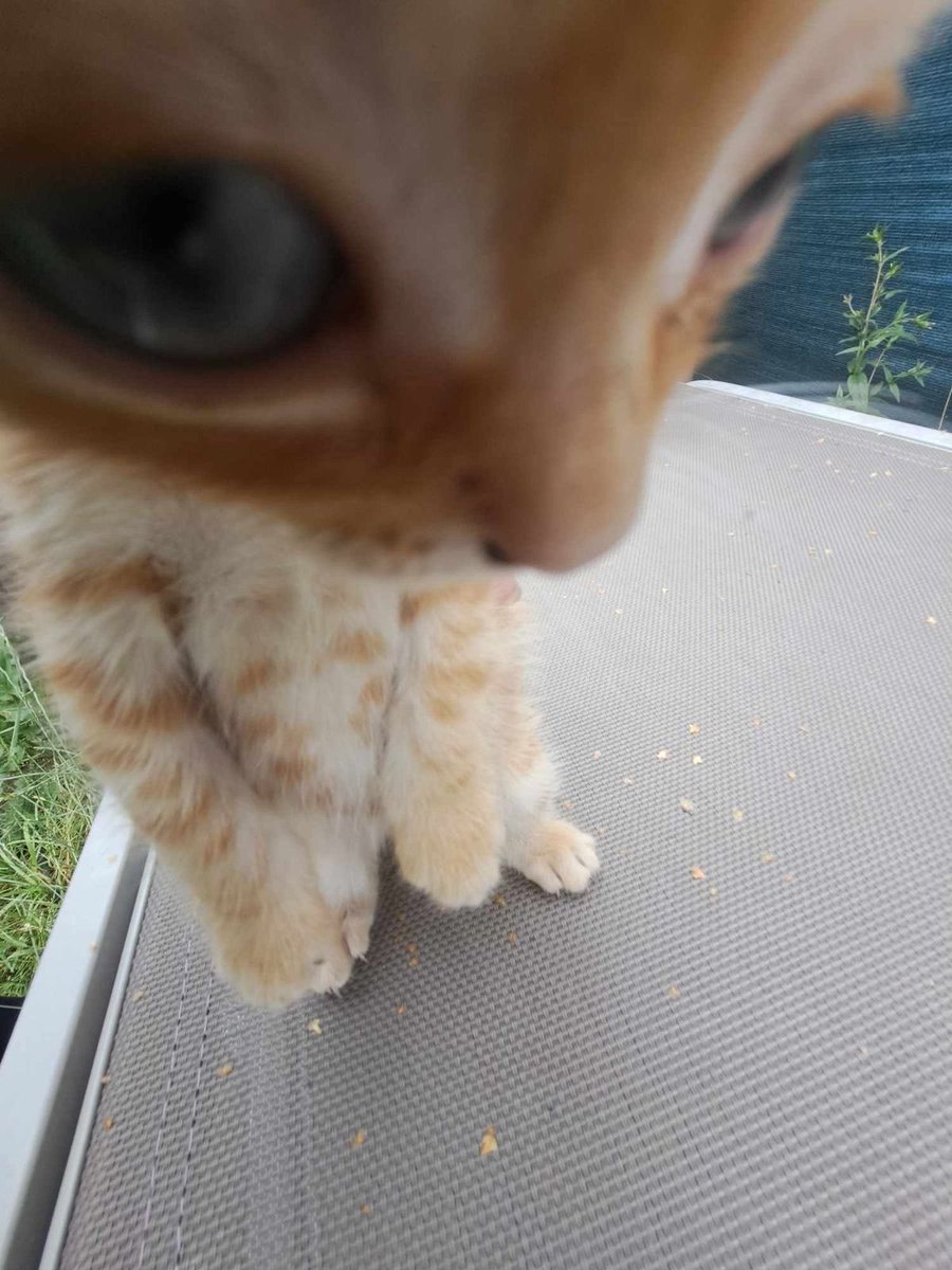 Yes ContextACM tweet media