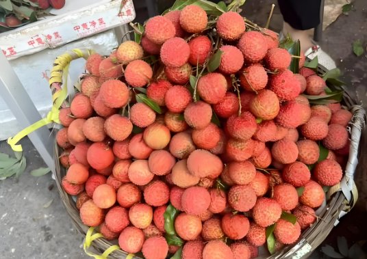 Antoine Weymeels tweet media