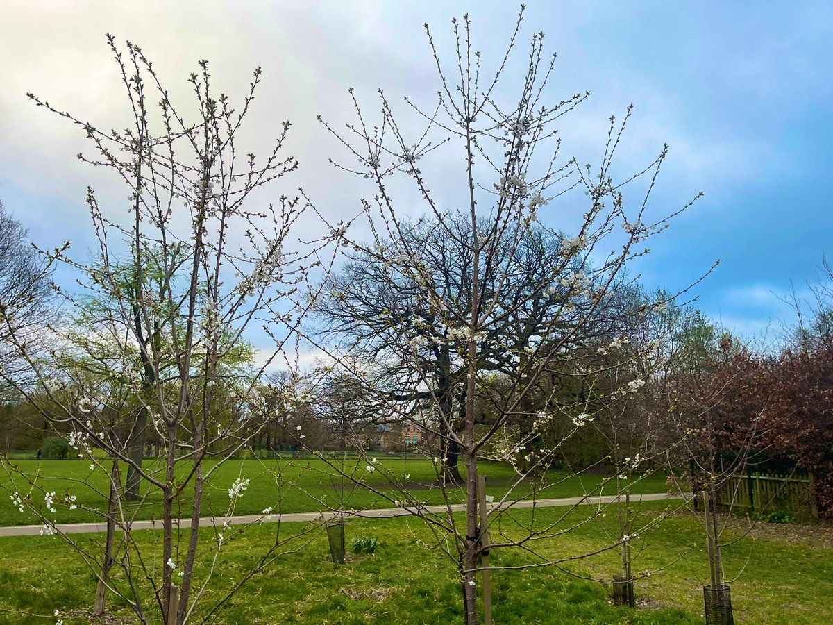 Friends of Cator and Alexandra tweet media