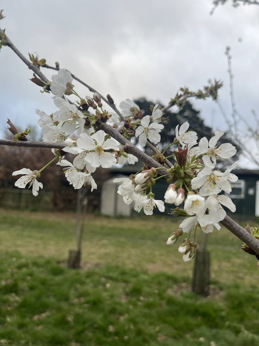 Friends of Cator and Alexandra tweet media