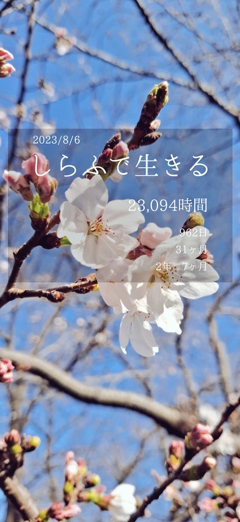 もみょ@断酒朝食会の人 tweet media