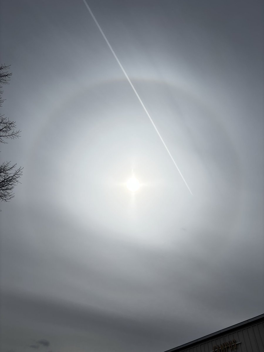 whaditizzz tweet media