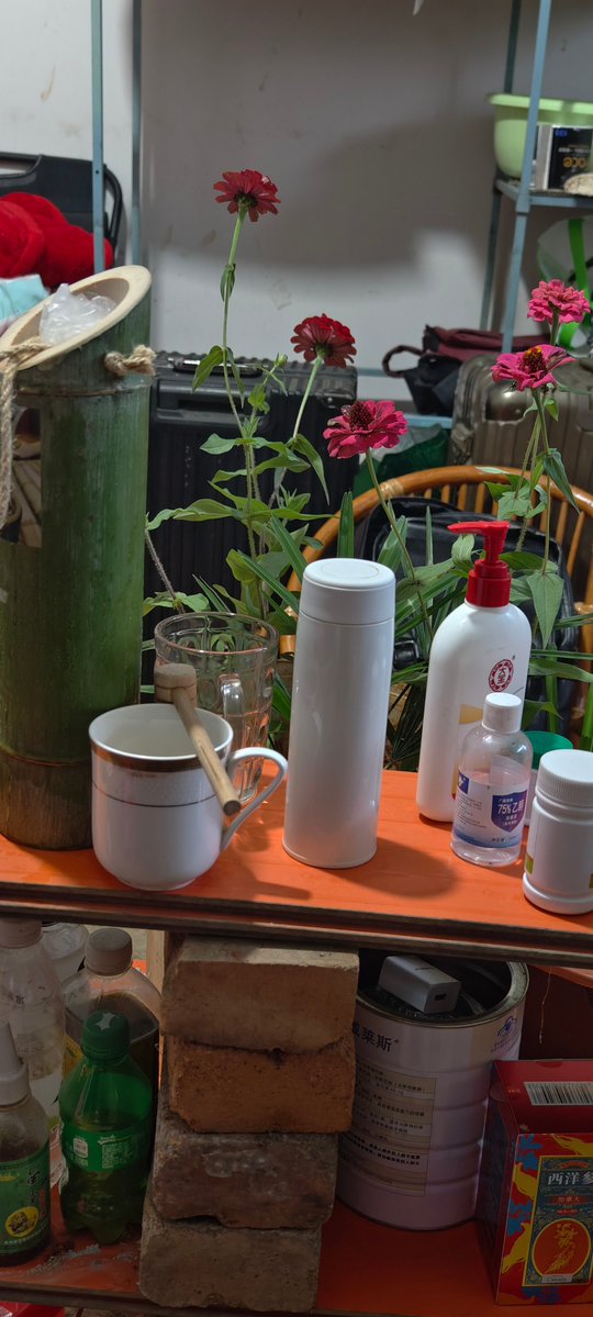 Katrin Smirnova tweet media