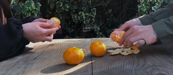 تِـيم tweet media