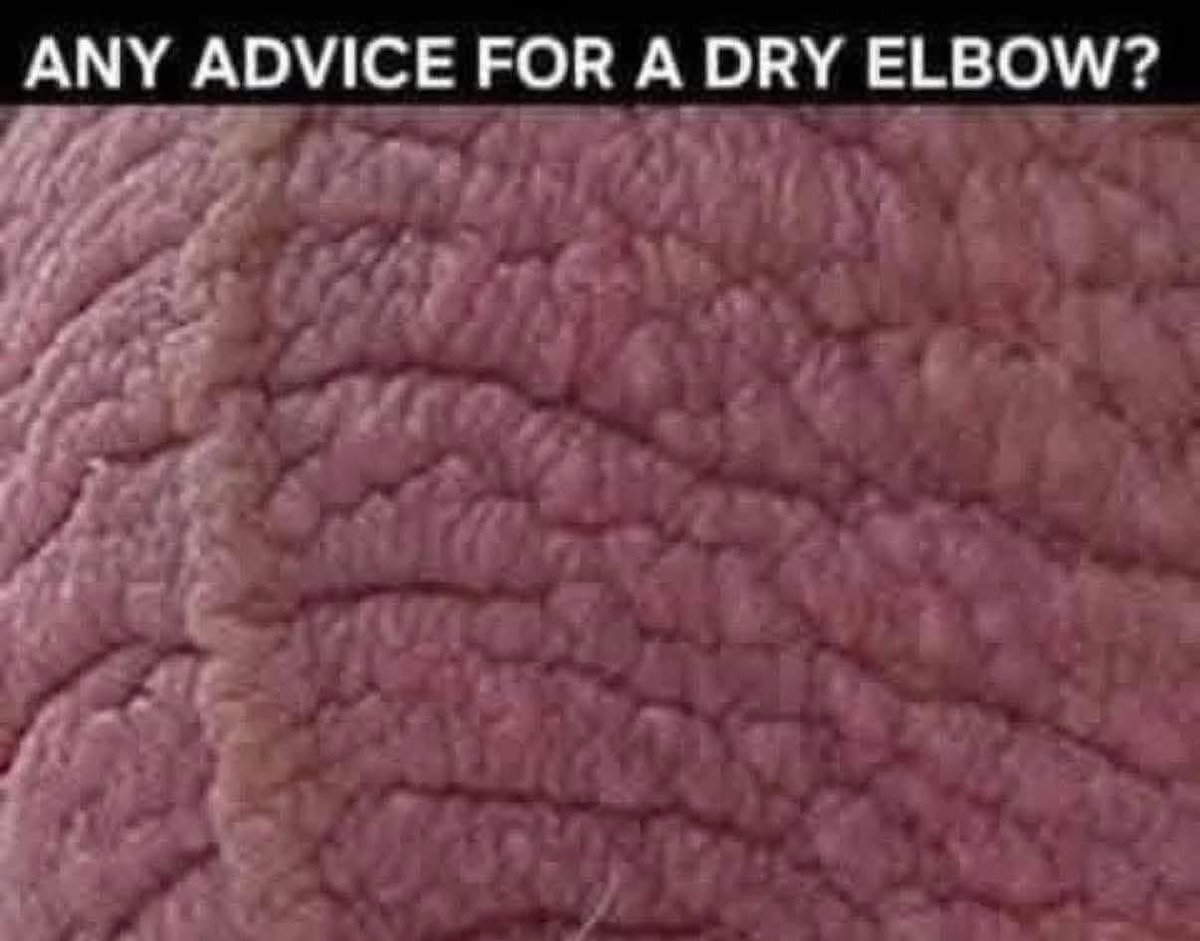 Notorious T.I.A 🐶🐱🐶🌈🏳️🌈🧩 tweet media