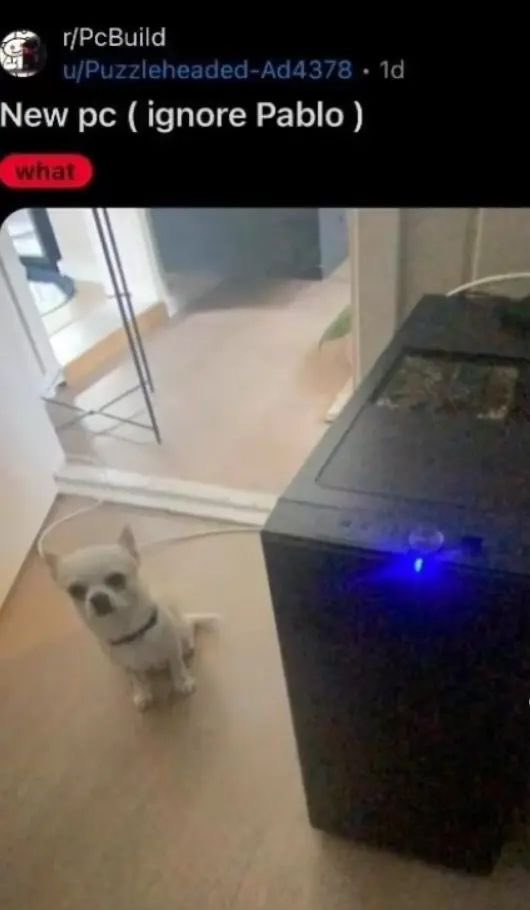 🦇 wraith ♡’s pulse 🫀 tweet media