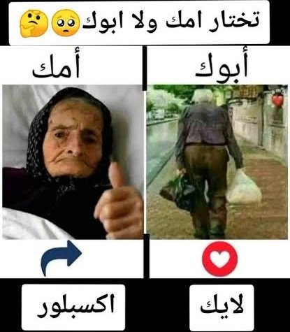 one ☾ ||✨😸 tweet media